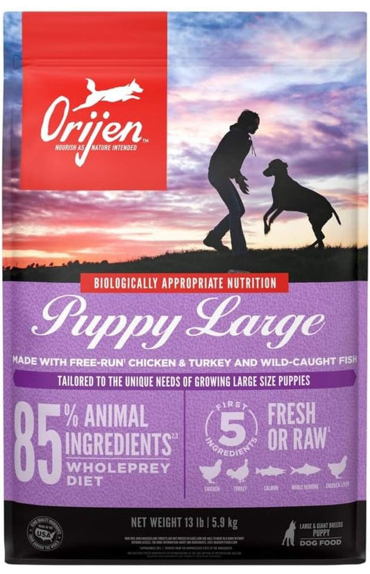 OR Puppy Large 13#