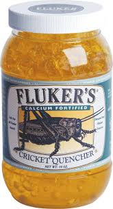 CRICKET QUENCHER W/CALCIUM 16 Z