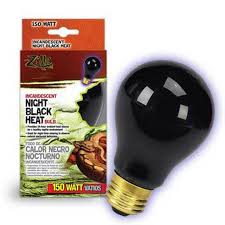 NIGHT BLK INC HEAT BULB 150W