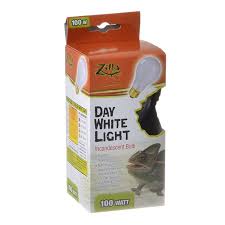 DAY WHITE INC BULB 100W