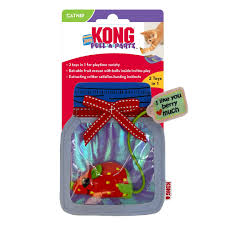 kong pull a part jam jar