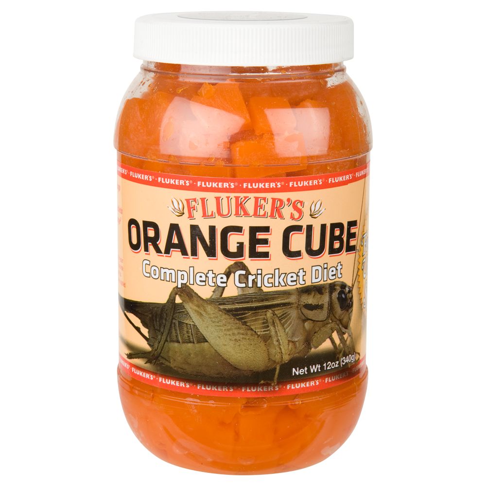 ORANGE CUBE CRICKET DIET 12 OZ