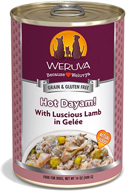 Weruva 14 oz Dog Can Hot Dayam GF